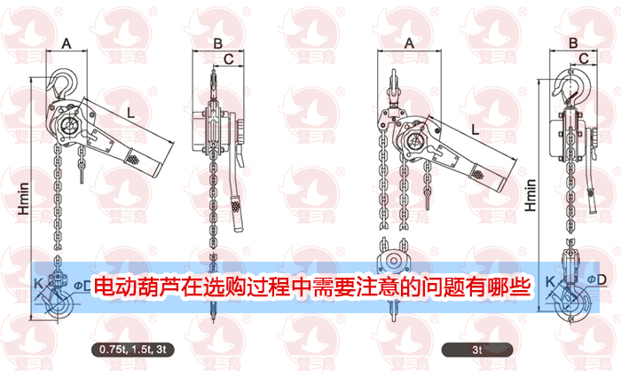 电动猫咪视频破解版在线观看在选购过程中需要注意的问题有哪些