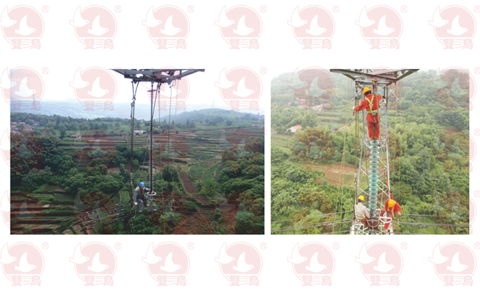 来聊聊为什么手拉猫咪视频破解版在线观看会有国标呢